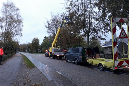 Article: Etten-Leur opts for smarter light