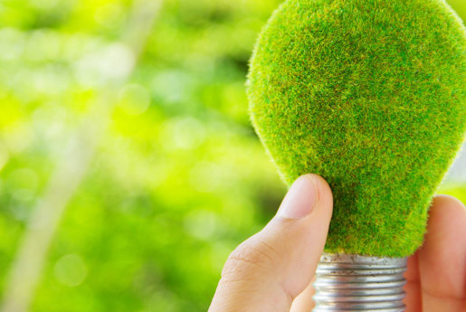 Biodiversity and Health